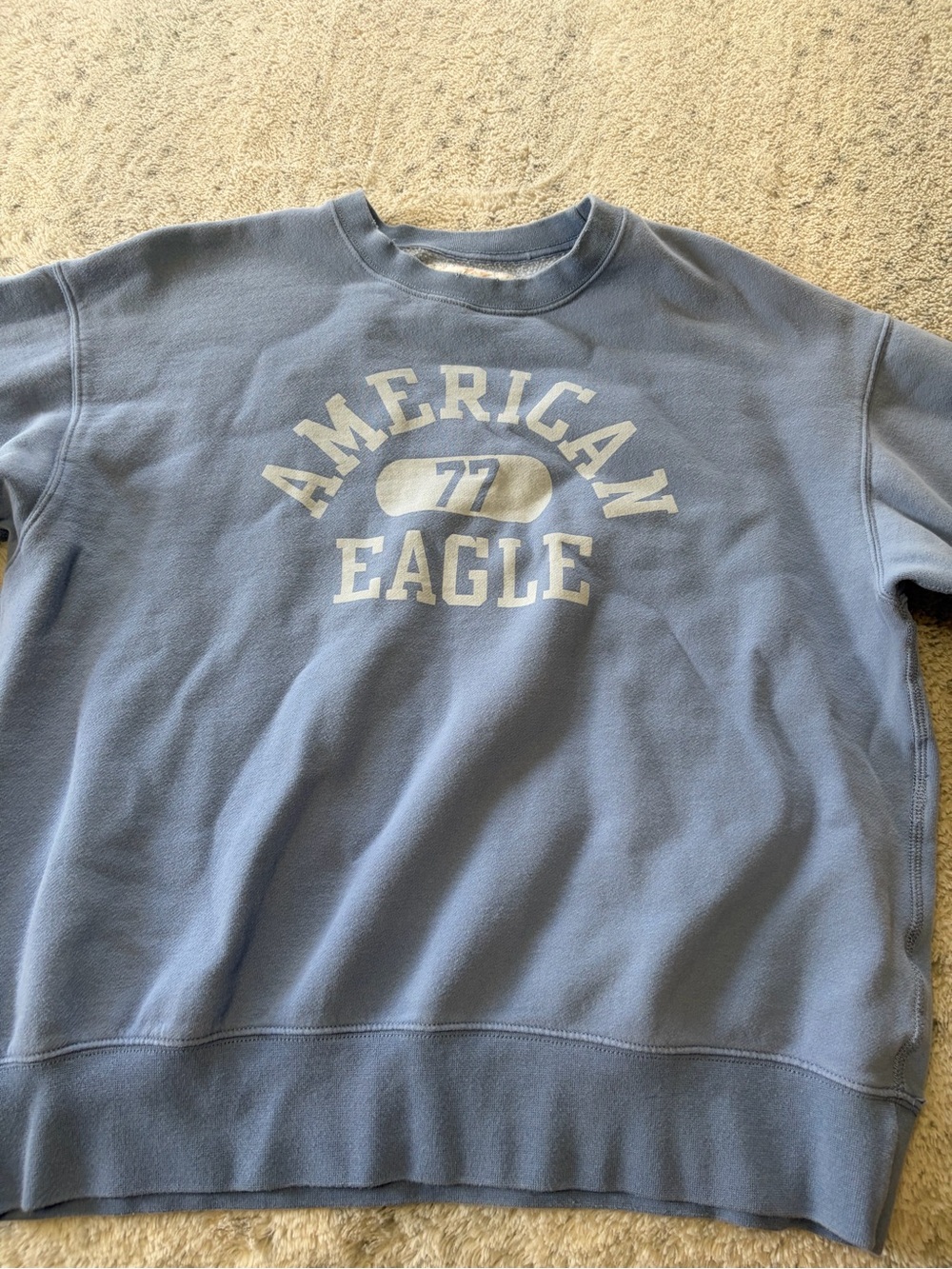 American Eagle Outfitters Light Blue Crewneck with White Logo